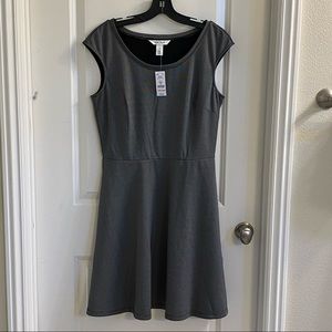 Brand New SS Stripe Ponte White House Black Market dress